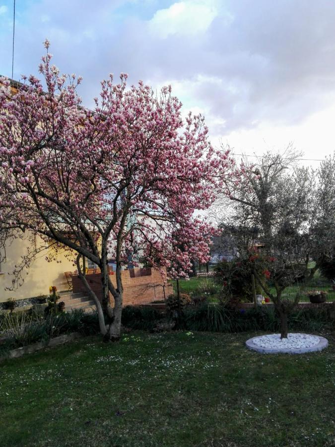 Da Vanilla Affittacamere Bonzicco Εξωτερικό φωτογραφία